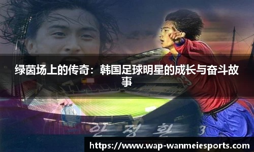 绿茵场上的传奇:韩国足球明星的成长与奋斗故事